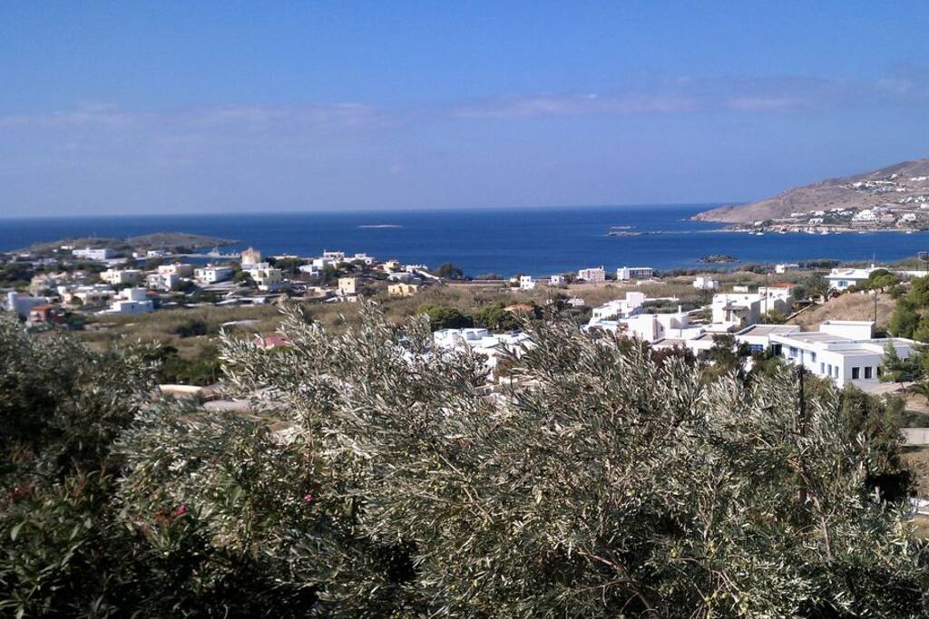 View from the house