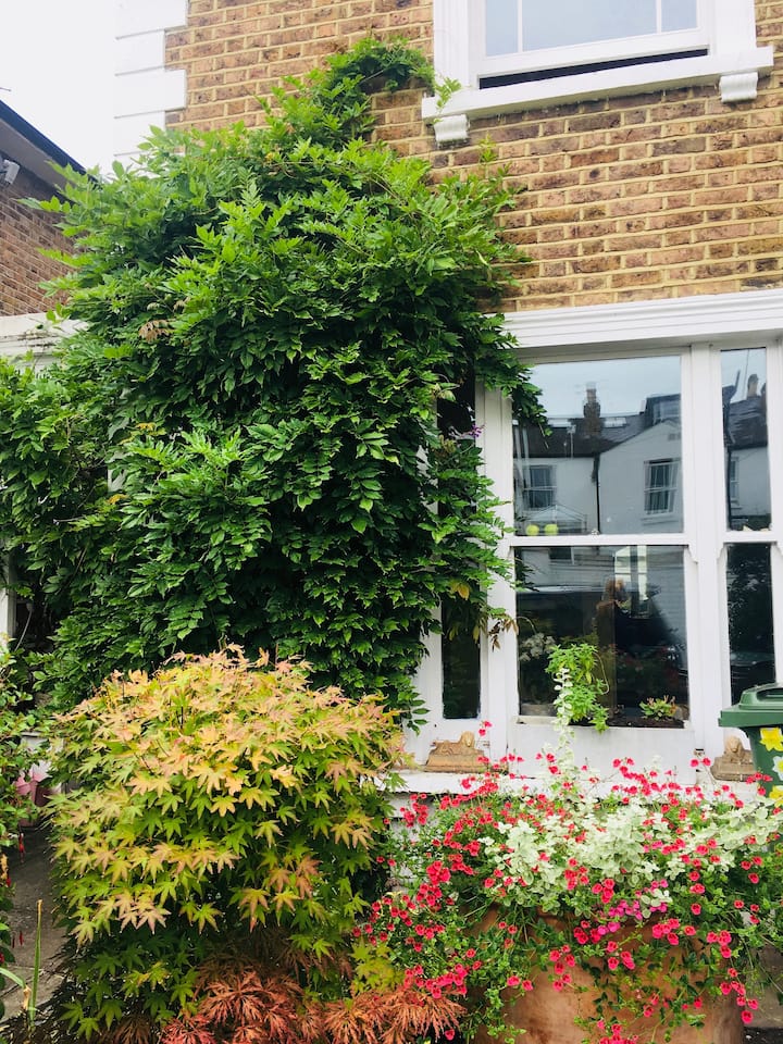 Lovely house in central Richmond