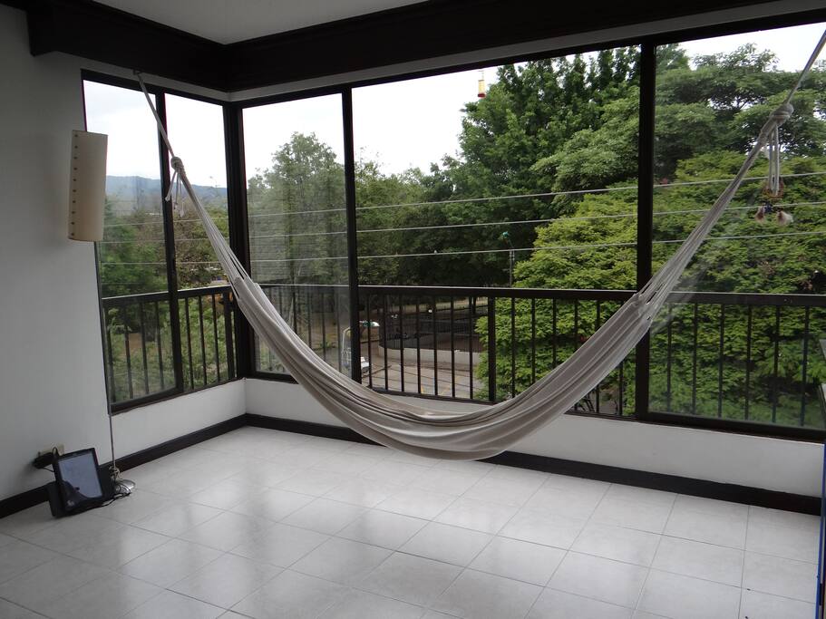 The most beautiful view where you can see humming birds, maccaws and eagles flying.