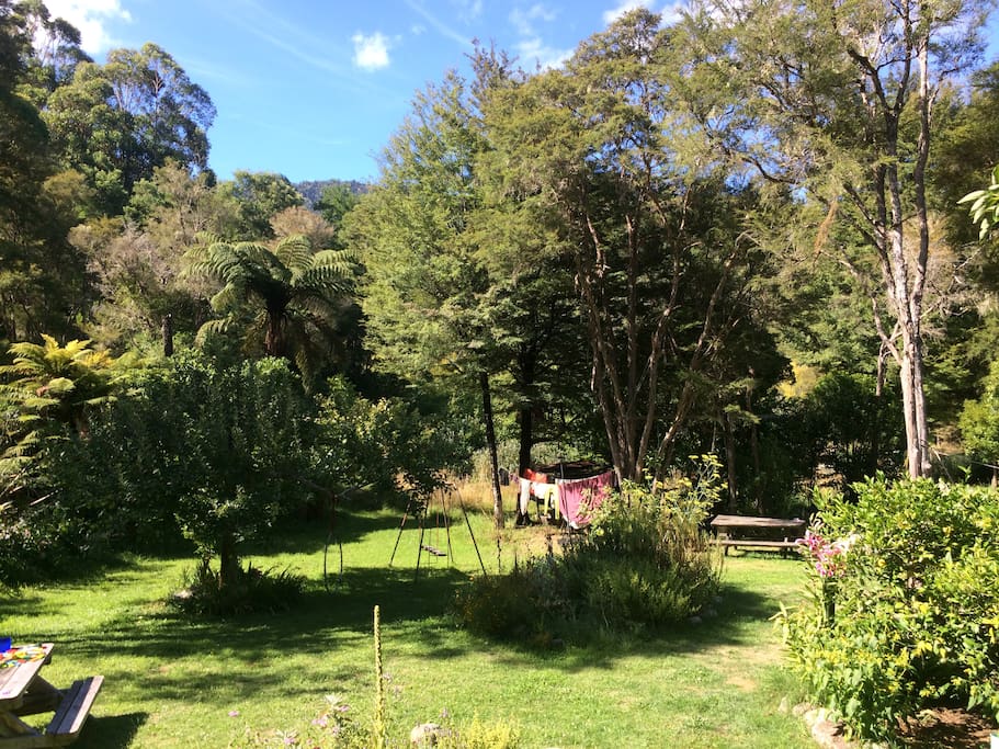 Our Front Yard that leads to the River