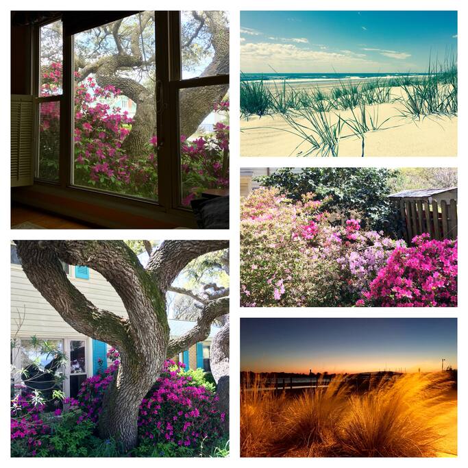 Views around the house