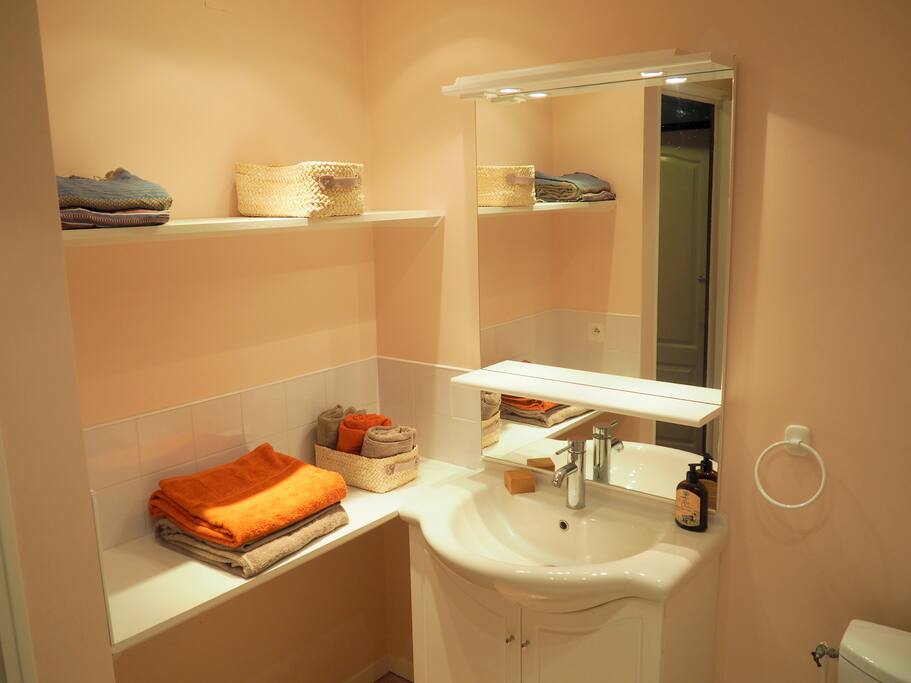 Salle de bain avec douche et toilette