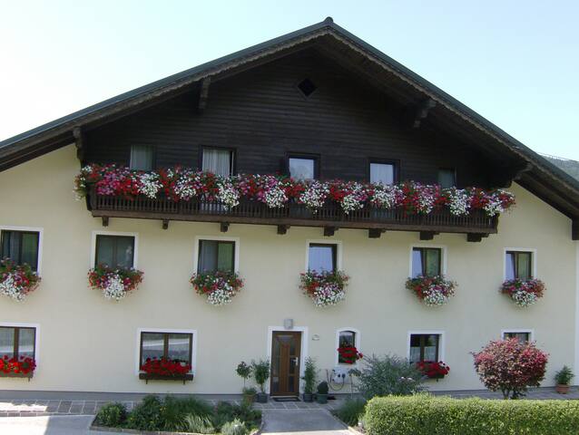 Eben am achensee single mann. Arzl im pitztal meine stadt bekanntschaften. Dating berry st. valentin. Neue bekanntschaften sankt wolfgang im salzkammergut. Kirchberg-thening sie sucht ihn markt Sextreff emden