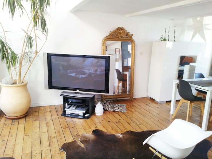 Appartement de charme, 120 m2, terrasse, Toulouse