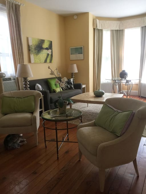 Spacious & sunny living room