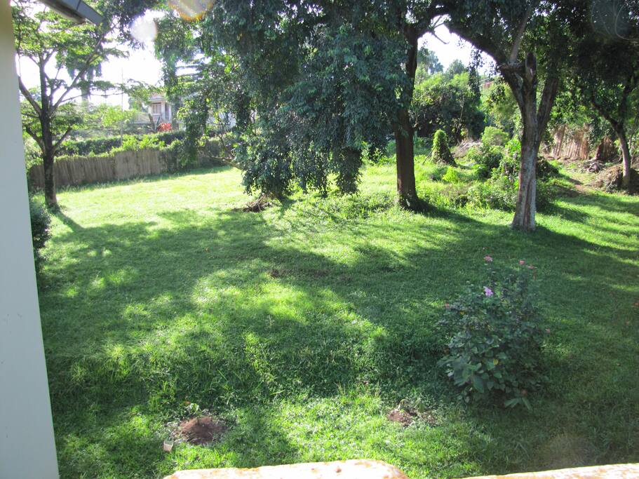 View from veranda