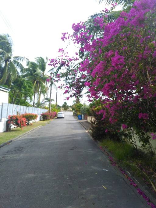 Quite street to the house which also leads to the beach.