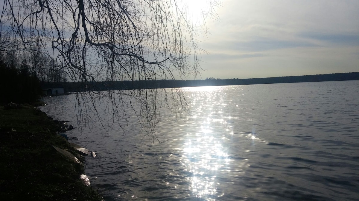 The tranquil lake surface reflects shimmering sunlight, creating a calming atmosphere. A tree branch reaches over the water, enhancing the serene landscape. The distant shoreline is gently visible, bordered by trees, contributing to the peaceful setting.