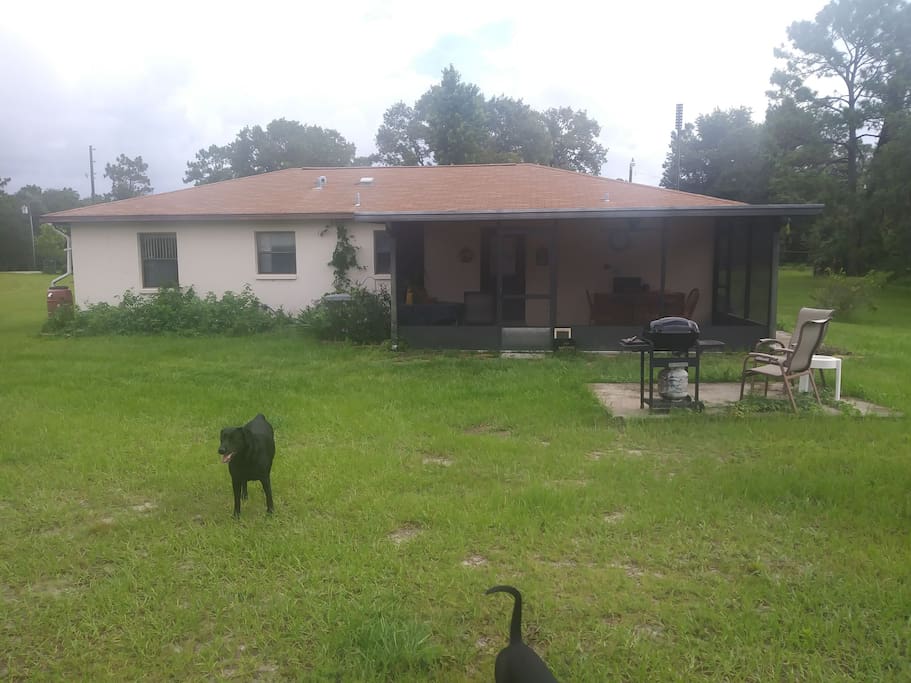 Spacious screened back porch and grill area