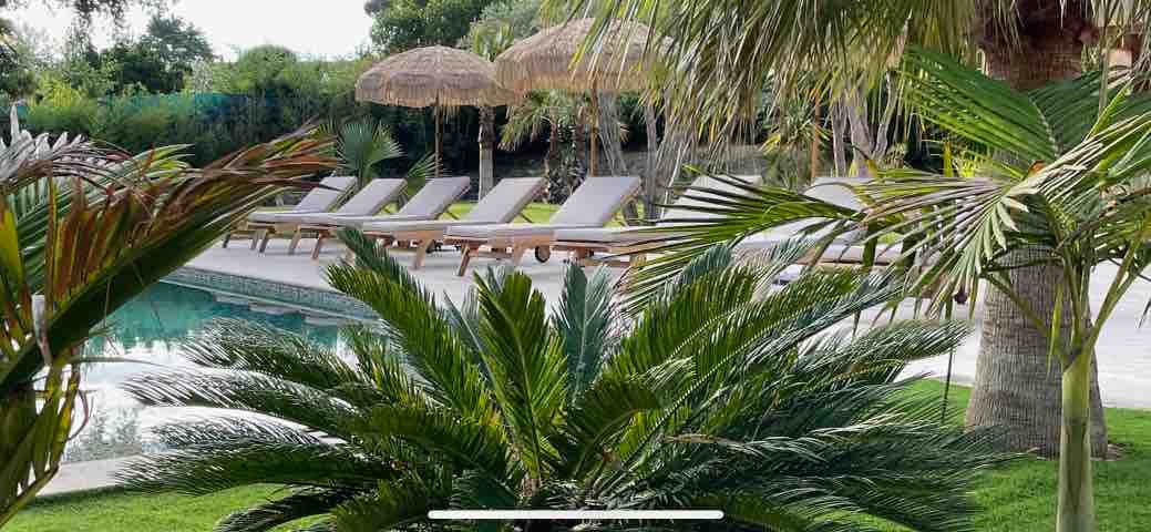 A serene outdoor space features sun loungers arranged by a swimming pool, surrounded by lush greenery and tropical plants. Thatched umbrellas provide shaded areas, enhancing the inviting environment. The swimming pool reflects the surrounding landscape, offering a tranquil spot for relaxation.