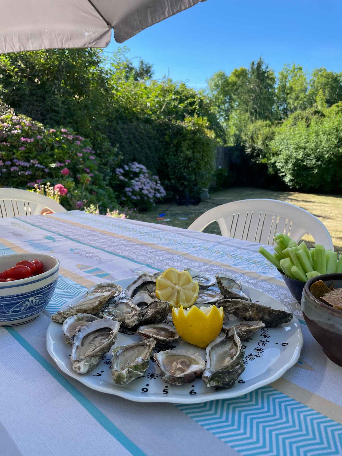 A dining table is set outdoors with a plate of oysters arranged artistically, complemented by lemon garnishes. Surrounding foliage, including blooming flowers and greenery, creates a tranquil atmosphere. Condiments and fresh vegetables are placed nearby, enhancing the inviting table setup.