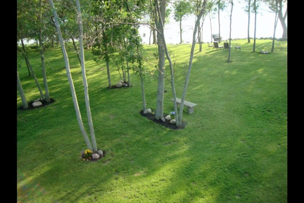 Rolling lawn down to the lake