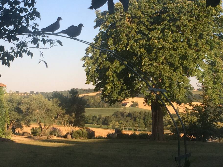 Un cadre et une vue enchanteur