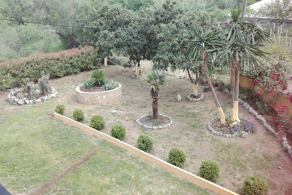 Front garden