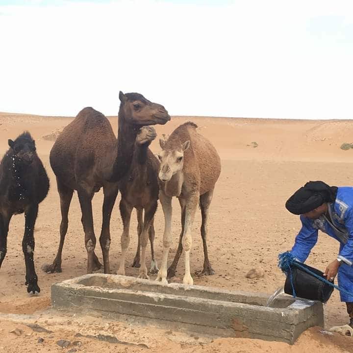 Desert Trip - Zagora