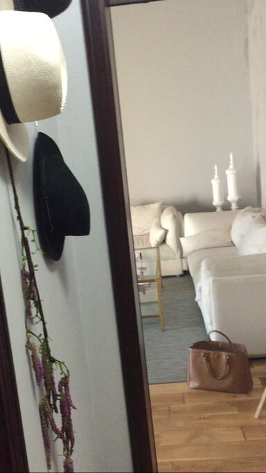 From the private entrance throw the hallway