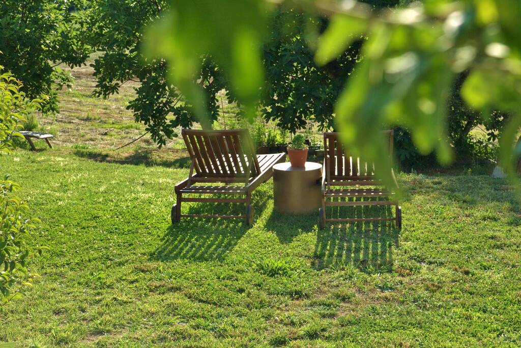 studios garden area