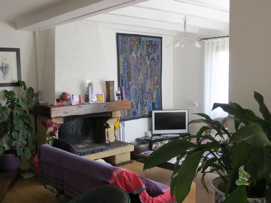 Sitting area with fireplace and TV