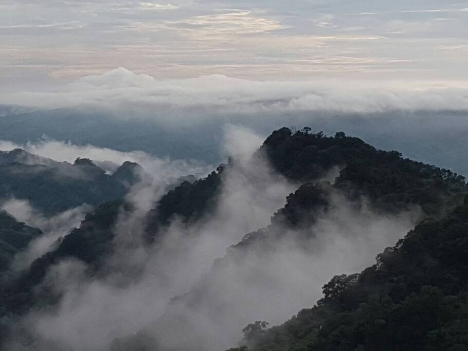 真的打開落地窗雲海就在 眼前