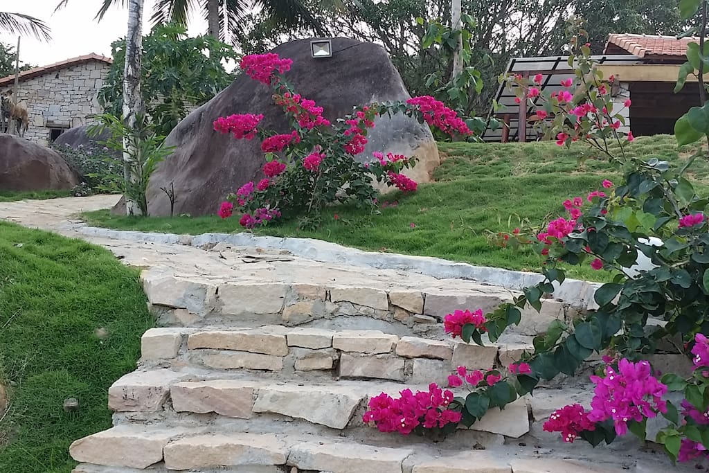 Stair down to the sea