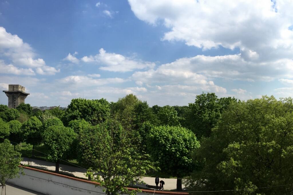 Park View from Living Room