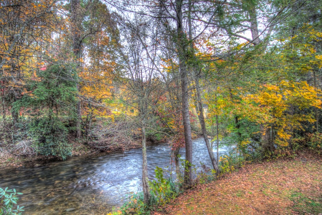 View of Creek with Fall Colors