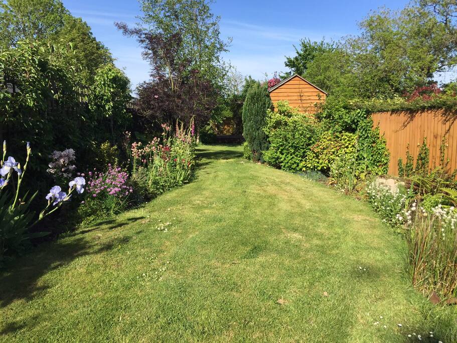 Back garden
