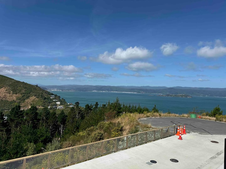 Gorgeous Sea View - Wellington