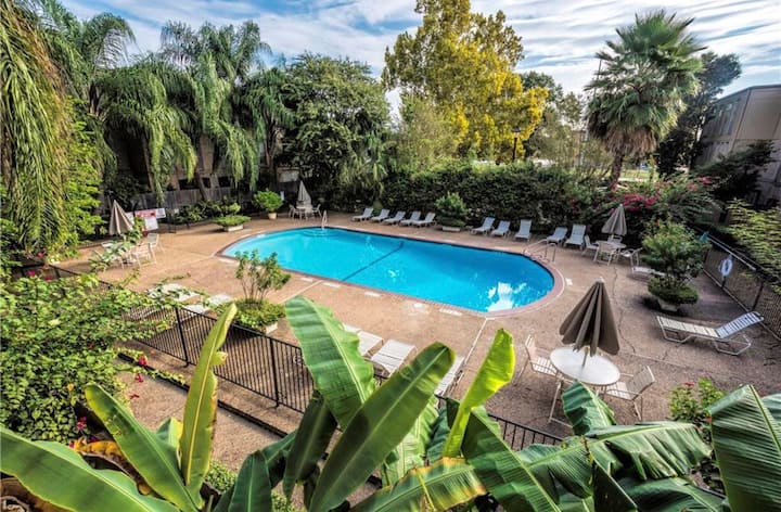 Beautiful apartment in the heart of Houston