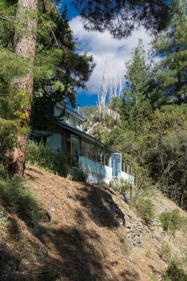 Tranquility in Troodos mountains