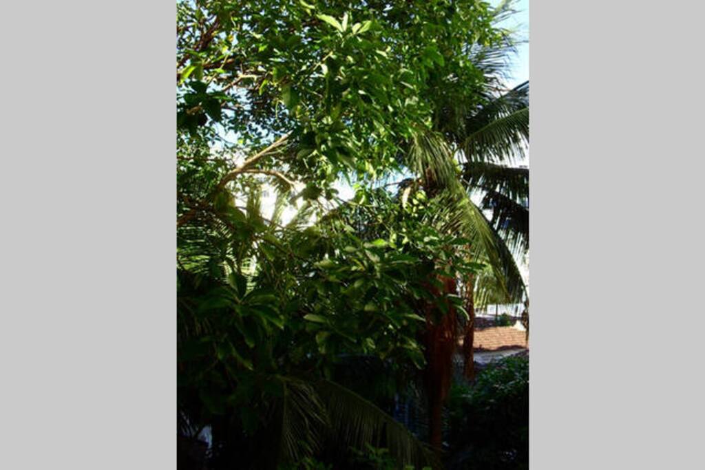 A garden view to wake up and see.