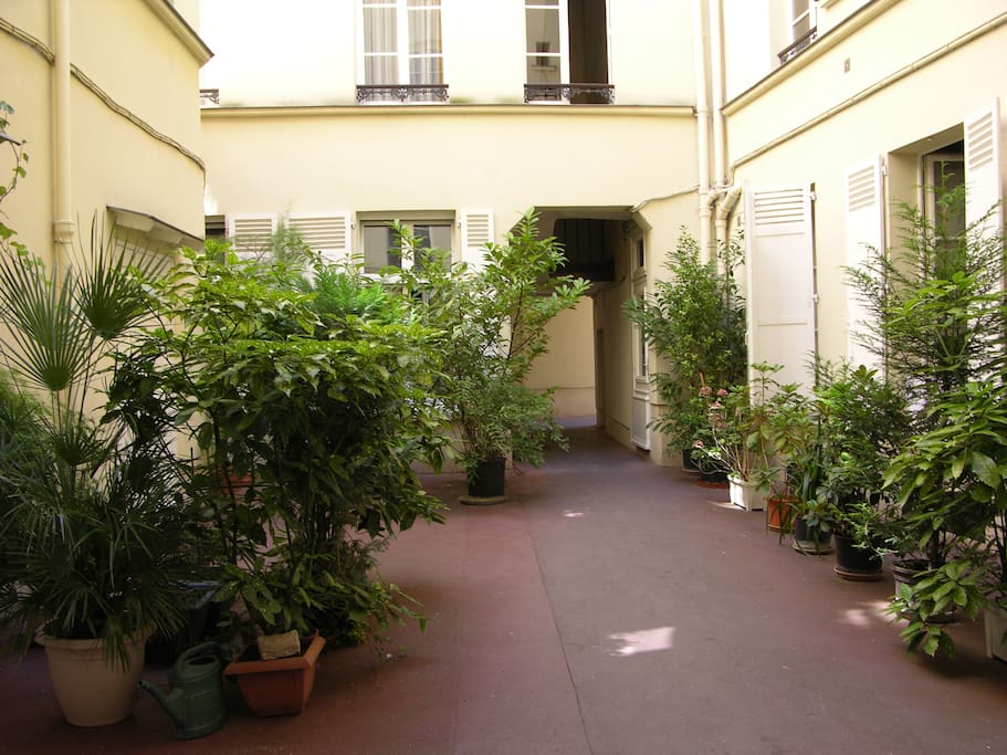 La cour