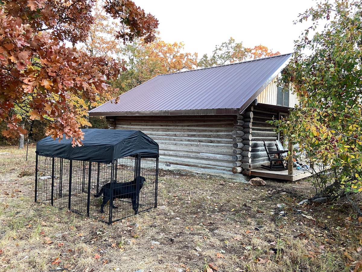 A quaint log cabin is surrounded by trees displaying autumn foliage. The structure features a slanted metal roof and a small porch with a rocking chair. A black dog is seen within a contained outdoor area, situated on a grassy patch beside the cabin.