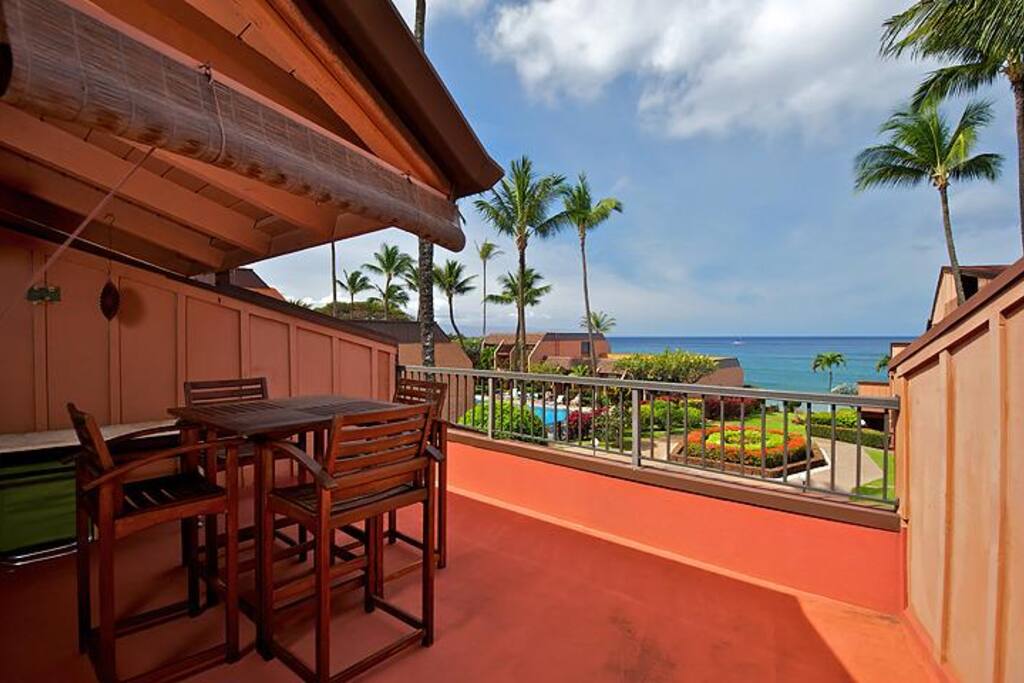 Patio and View