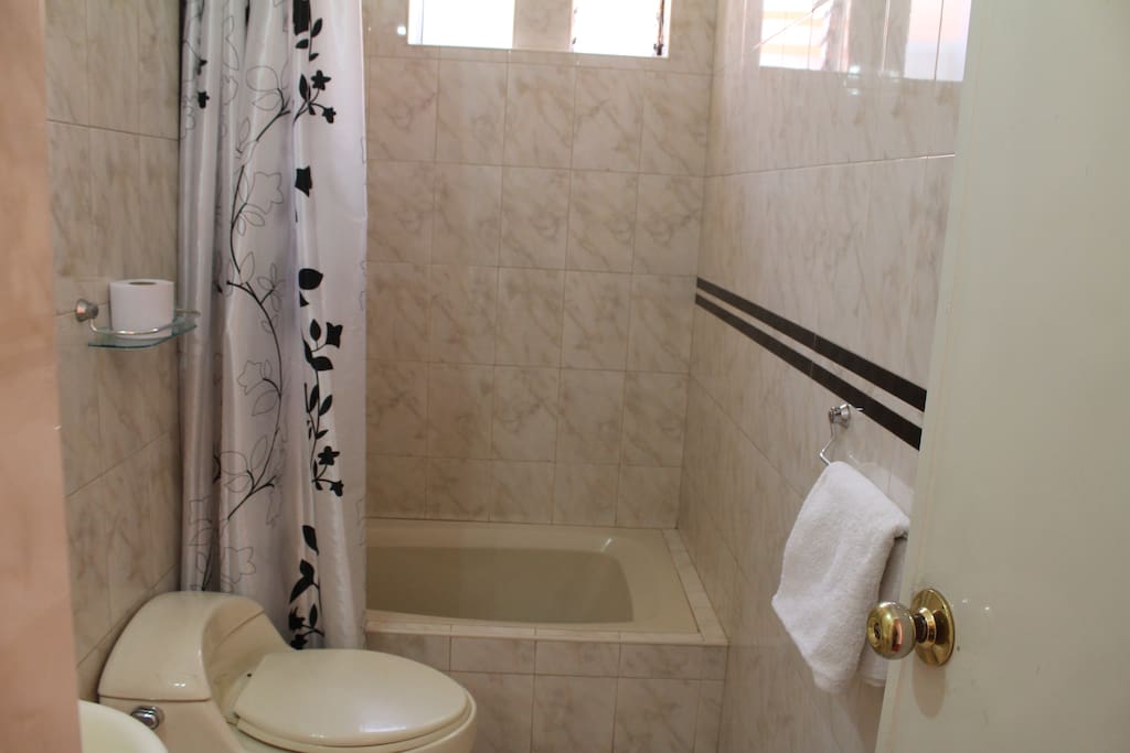 Baño ducha y tina caharacatosuite