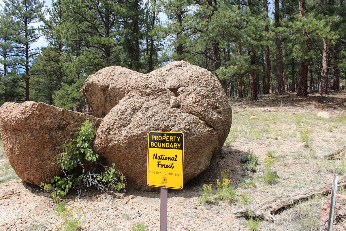 A property boundary sign stands next to a large boulder, indicating the border of Pike's National Forest. Surrounding vegetation includes pine trees and grasses, creating a natural, forested setting.