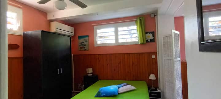 Studiosengen