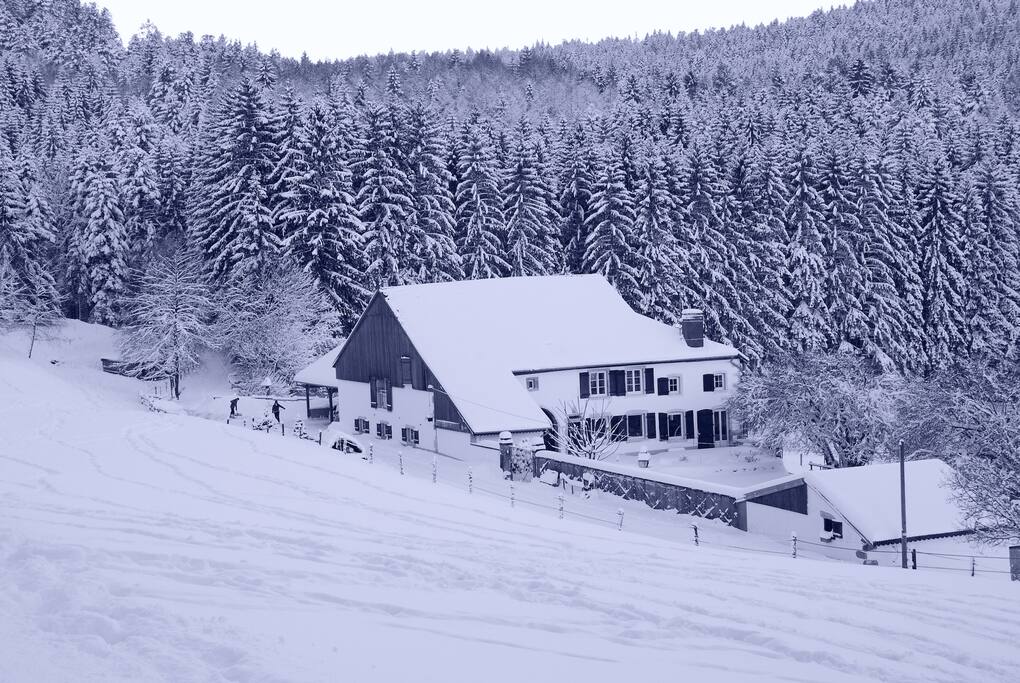 Paysage hivernal