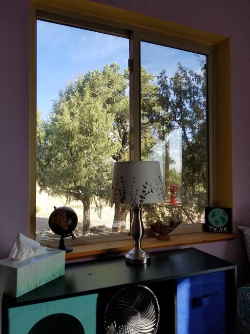 Enjoy the serene views from the Friend Zone.