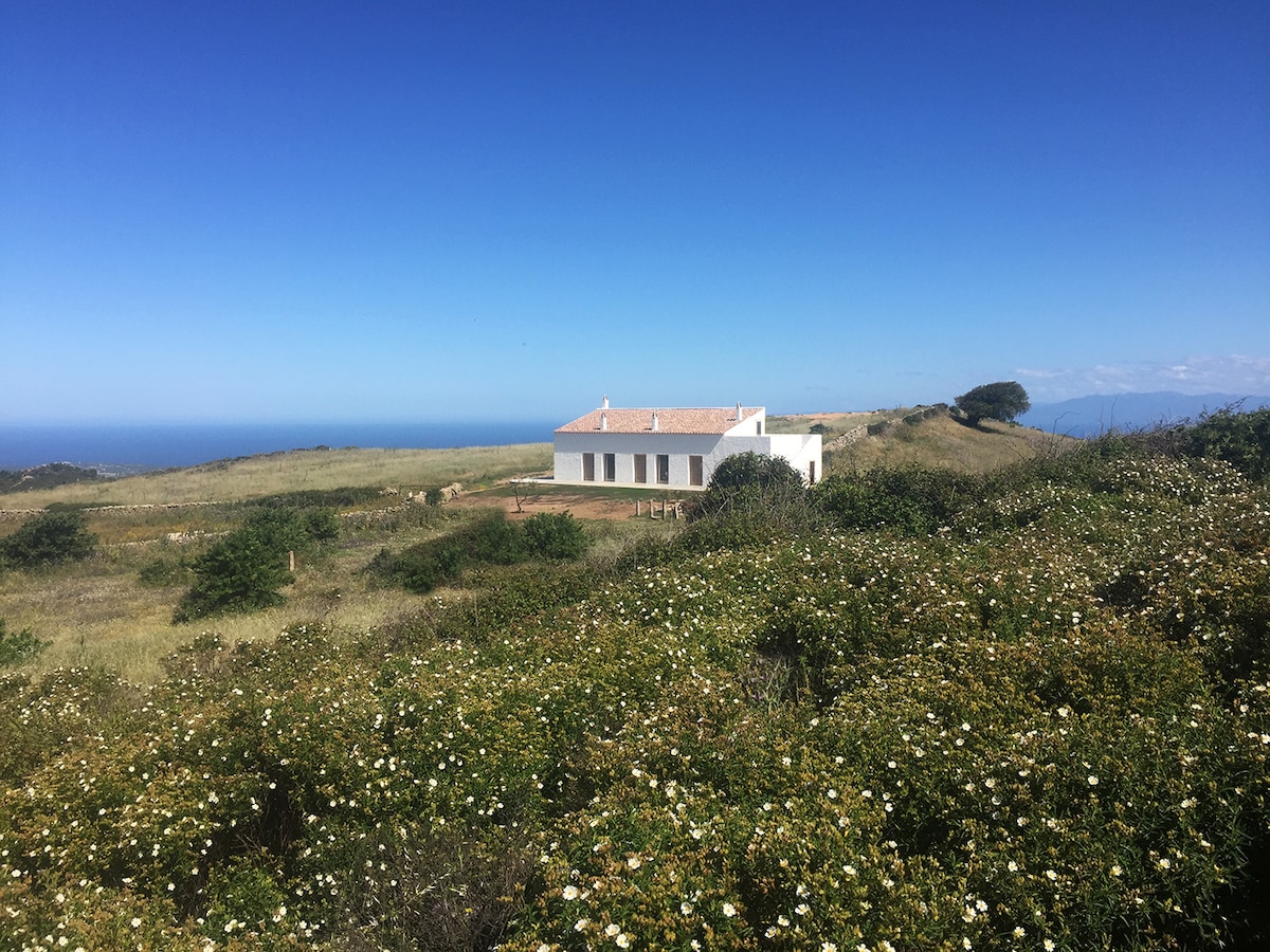 A modest white house is set against a clear blue sky, surrounded by green fields speckled with white flowers. The tranquil coastal landscape is visible in the background, contributing to a serene atmosphere that complements the natural surroundings.