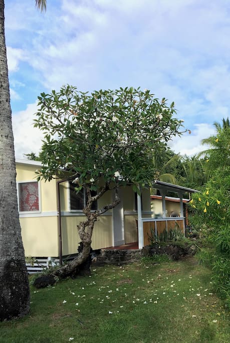 Aloha Hale in sunny Kapoho, where you are greeted with island aloha and an abundance of sweet plumeria flowers.