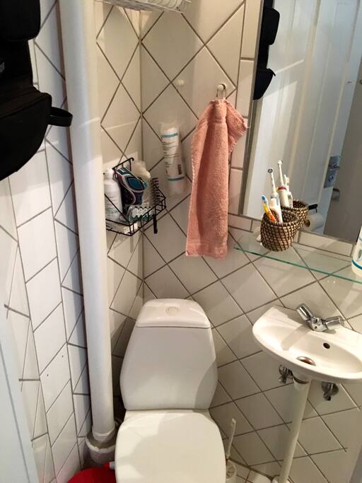 Classical Copenhagen toilet (small ;) but with separate shower cabin (not shown)