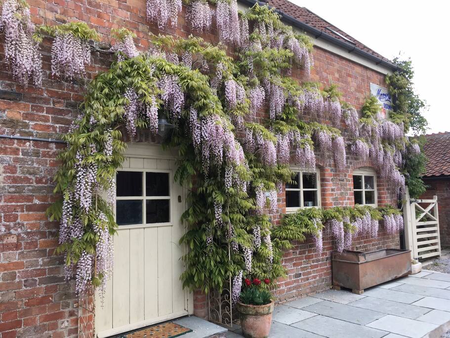 Old Spot Cottage ,Mark ,Somerset The Causeway Mark Cottages for Rent