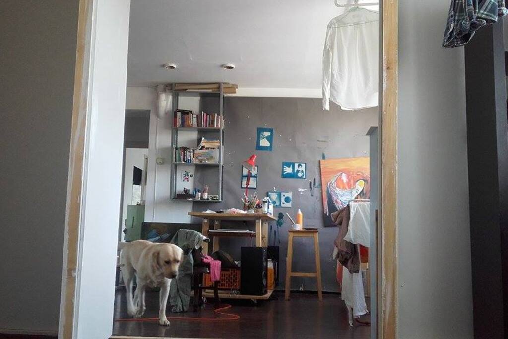 the view from the single bedroom into the working area