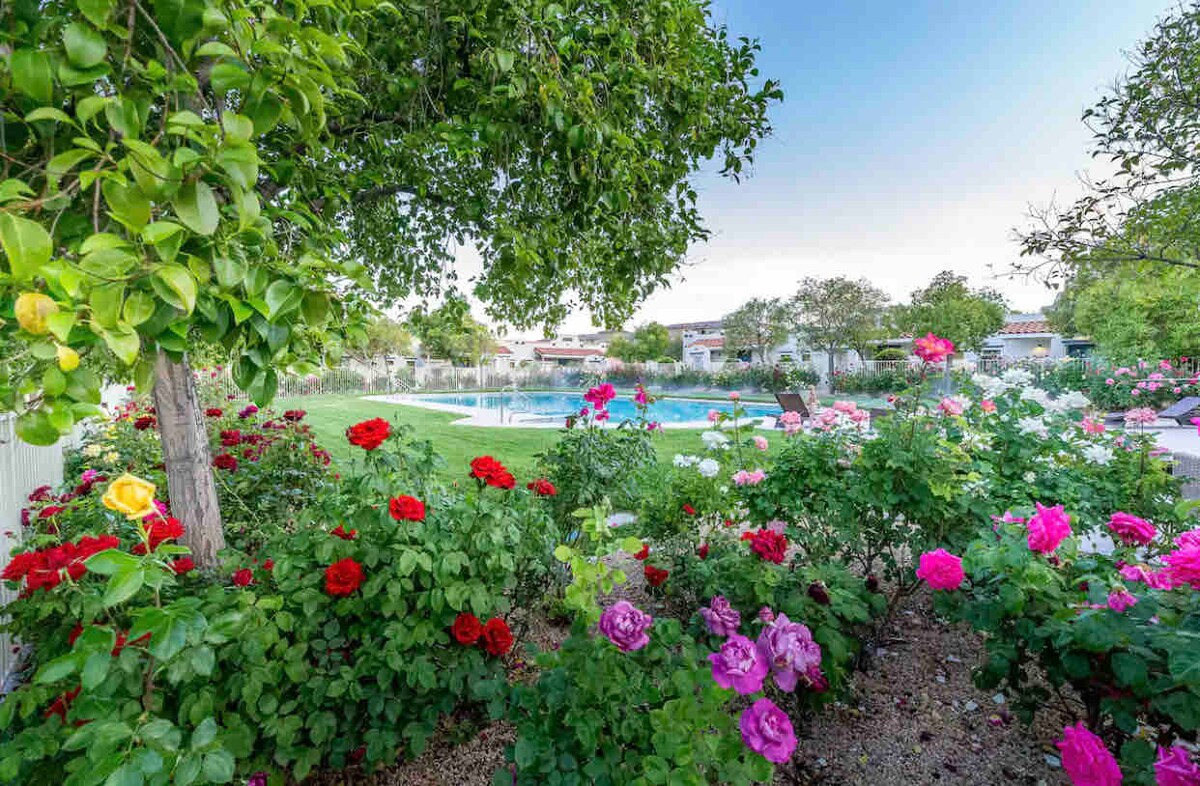 A vibrant garden filled with blooming roses in shades of red, pink, and purple surrounds a clear resort-style swimming pool. Lush green trees provide shade, enhancing the tranquil outdoor space designed for relaxation.