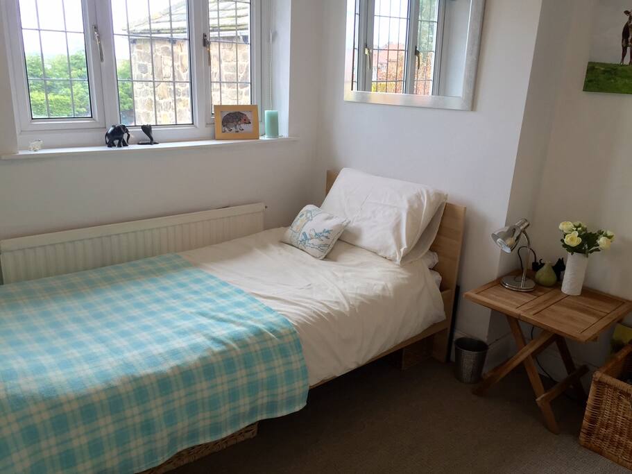 Good sized, bright single room