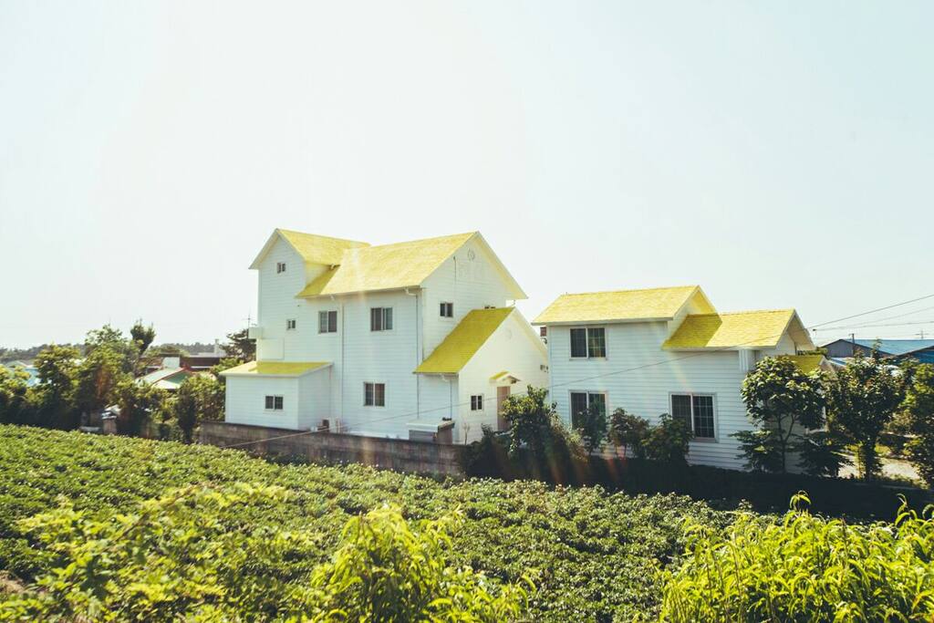 외곽전체전경