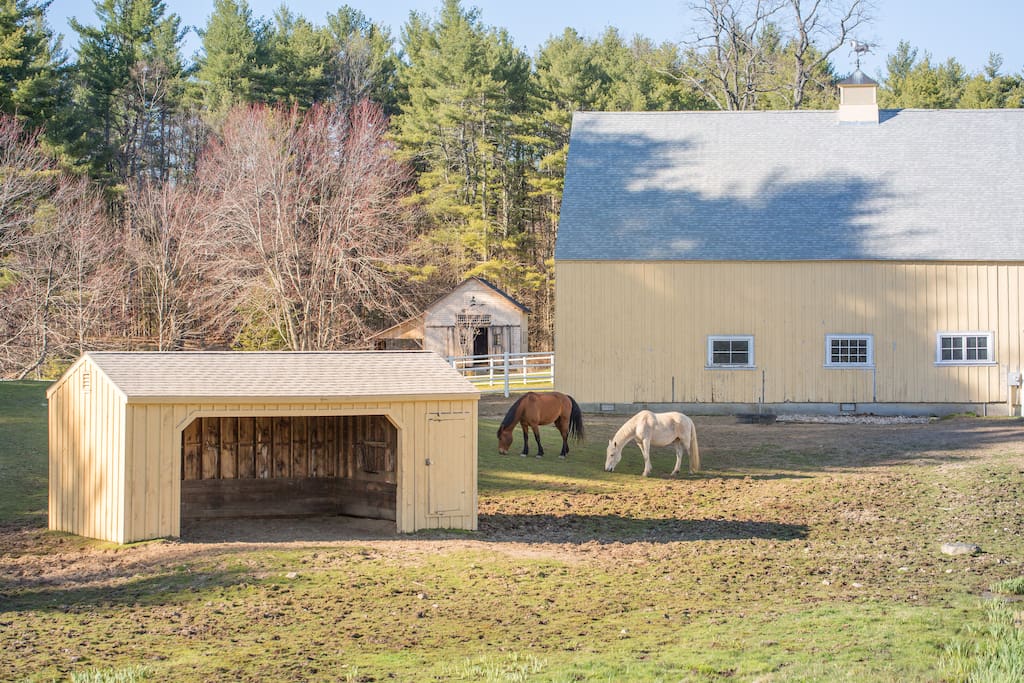 Outside your window are grazing horses and a restored 19th century barn