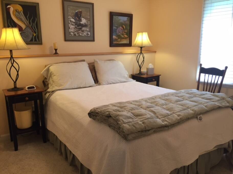 Guest room #2 - queen bed