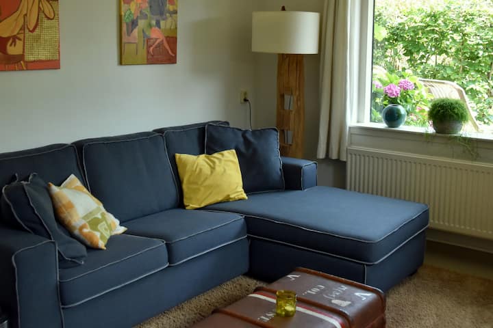 sala de estar acogedora con sofá cama